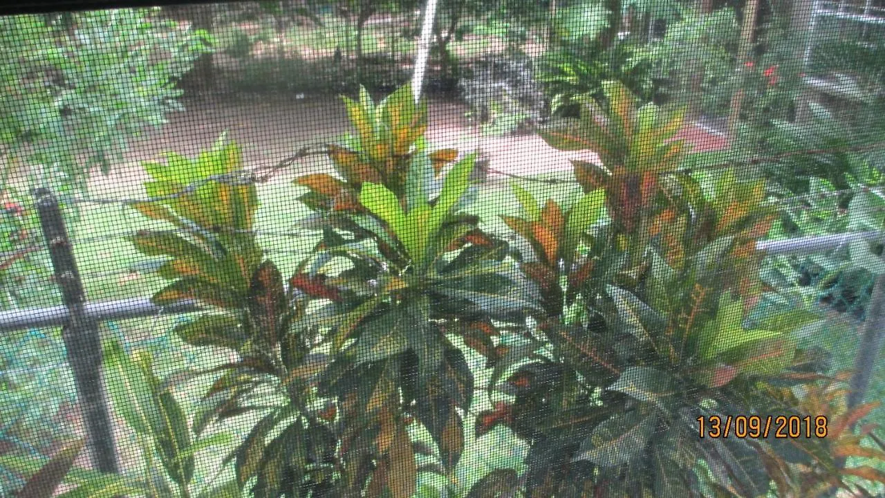 Tropical Breeze Vacation Home And Apartments Gros Islet